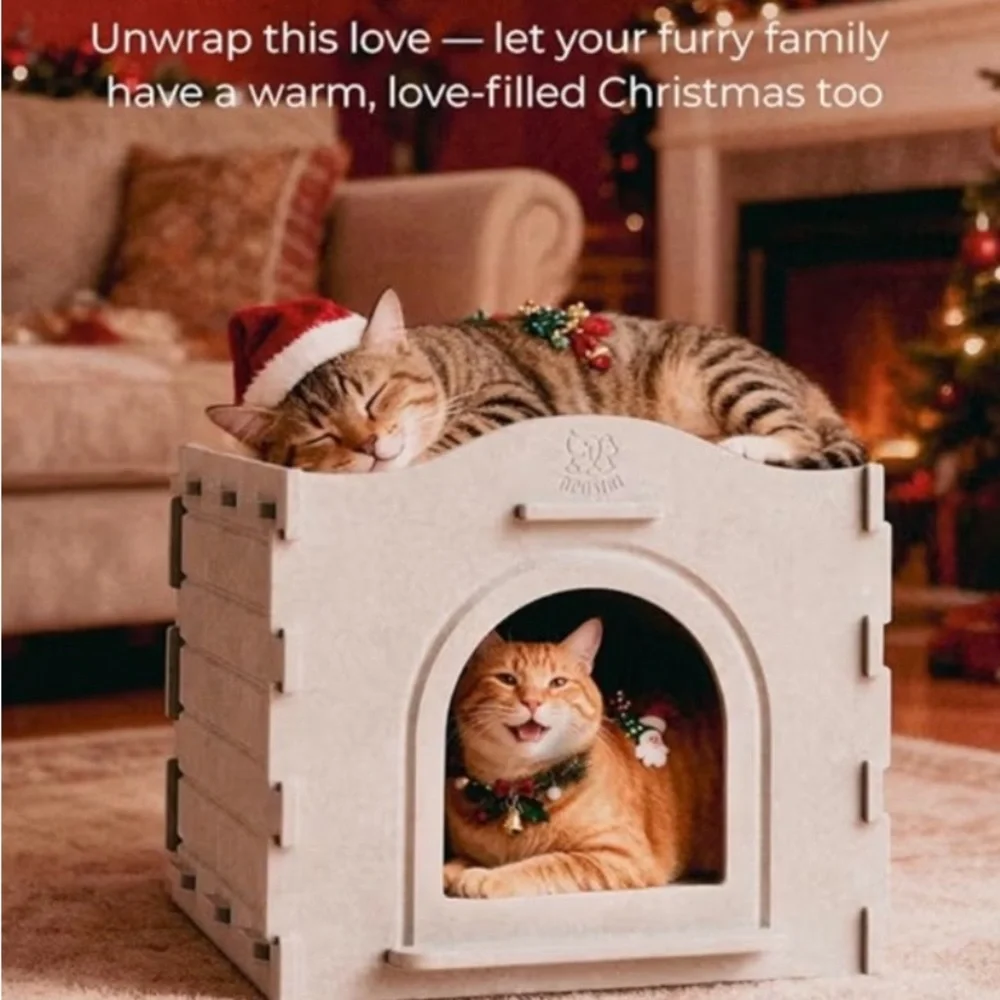 Cat Houses treat your